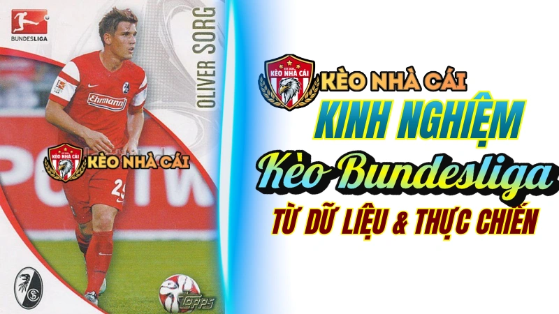 Kèo Bundesliga - Kinh nghiệm soi kèo Bundesliga từ dữ liệu thực tế